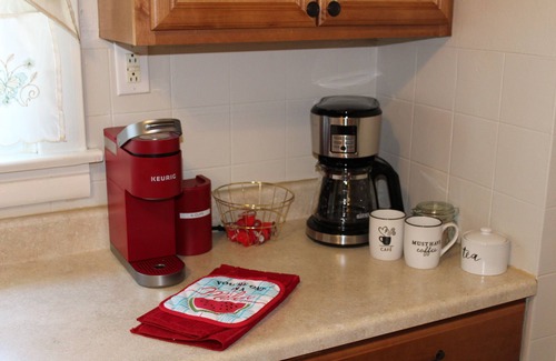 Belleville House | Budget-Friendly 2 BR Home with STL Cardinals Theme & Lake View