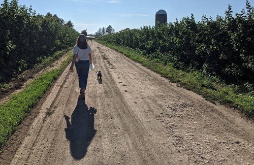 Lynden Apartment | Experience the Serenity of Nature on a Farm