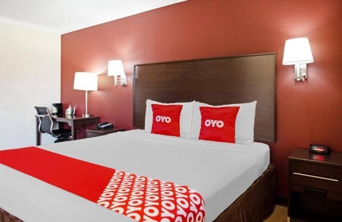 McAllen Hotel | Discover McAllen’s History and Culture with Pet-Friendly Stays