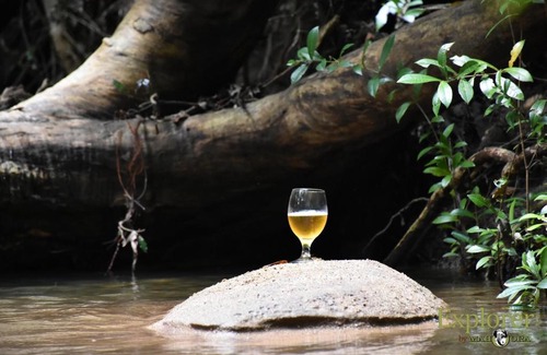 Wilgamuwa Hotel | Discover Explorer by Eco Team Near Wasgamuwa National Park