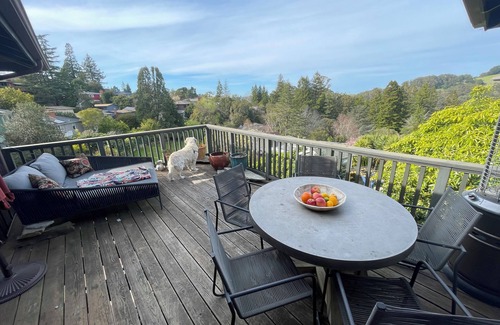 Berkeley Hills House | Inviting Berkeley Family Retreat - Steps from Tilden Park