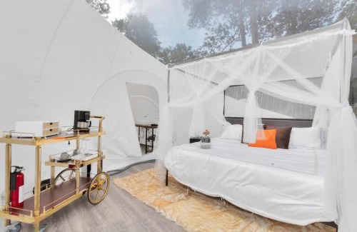 Cleveland Other | Exquisite Luxurious Bubble