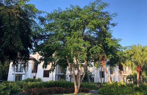 Herreras Villa | Premier Golf Villa at Bahia Beach with Oceanfront Amenities