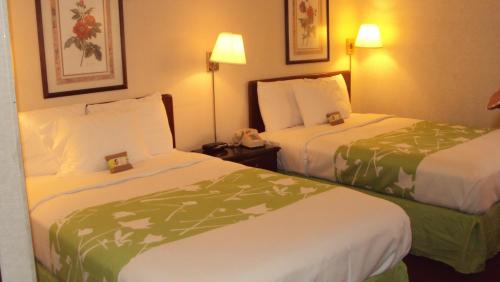 Warrenton Hotel | Comfortable Extended Stay at Warrenton Inn with Family Amenities