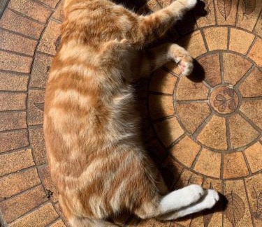 Aldudes Bed & Breakfast | Discover Eyhera Perkain: Family-Friendly Retreat with High Ratings