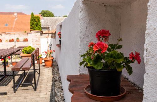 Sopron Bed & Breakfast | Beachfront Retreat at Fényes Vinorium with Ocean Views