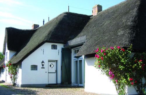 Midlum House | Föhrienhaus: A 4-Star Pet-Friendly Retreat Awaits You