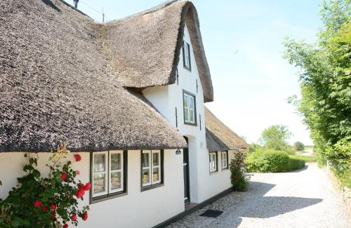 Midlum House | Föhrienhaus: A 4-Star Pet-Friendly Retreat Awaits You