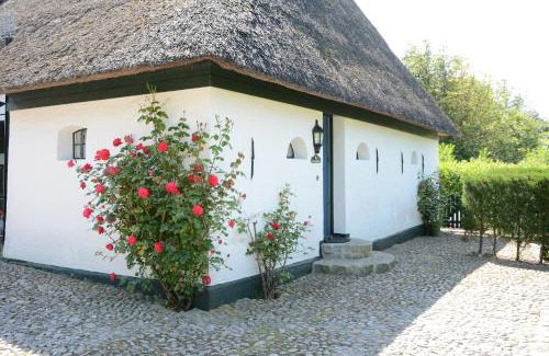 Midlum House | Föhrienhaus: A 4-Star Pet-Friendly Retreat Awaits You