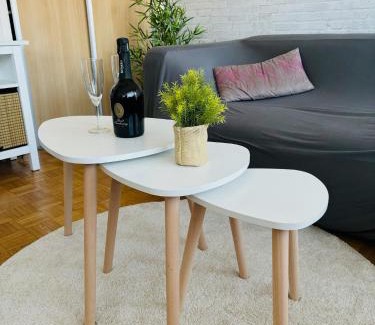 Thonon-les-Bains Apartment | Bright F2 Apartment Near Thonon Thermal Spas, Rated 10/10