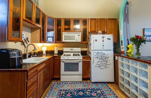 Curtis Park House | Explore Downtown Denver: Pet-Friendly Retreats Await