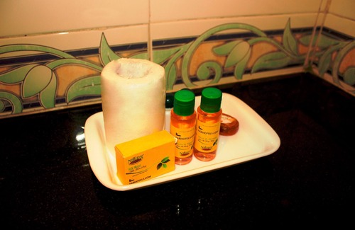 Lucknow Hotel | Budget-Friendly FabHotel Blueark with Family Amenities