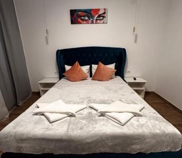 Tulcea Apartment | Pet-Friendly Fabian Apart Faleza with Perfect 10/10 Rating