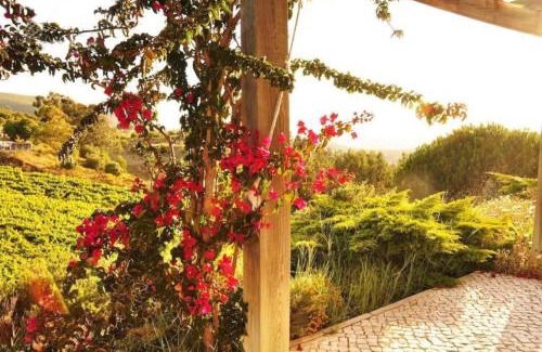 Setubal Villa | Discover Quinta do Vento: Oceanfront Retreat with Pool