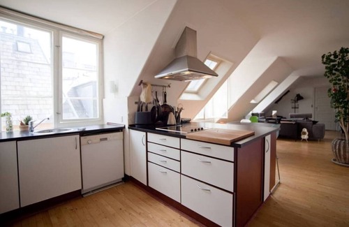 Copenhagen City Centre Apartment | Elegant 140m2 Penthouse with Pool and Spa Amenities