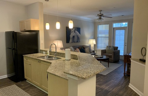 Alpharetta House | Cozy One Bed Corporate Apartment in Alpharetta with Pool