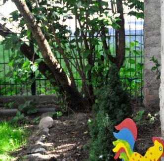Quedlinburg Apartment | Fachwerkhotel: Family-Friendly Retreat with Delicious Breakfast