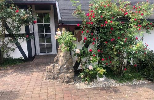 Olsberg Villa | Fachwerkliebe Villa Mia