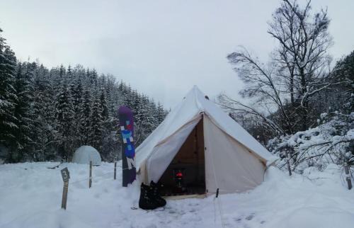 Lunca Bradului Ski Chalet | Pet-Friendly Retreat with Spa and Family Amenities at Fain