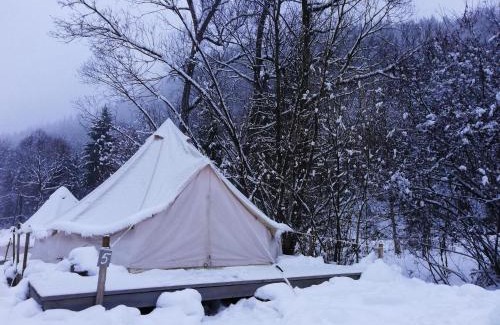 Lunca Bradului Ski Chalet | Pet-Friendly Retreat with Spa and Family Amenities at Fain