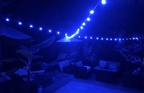 Fair Harbor Cottage | Pet-Friendly Retreat at Fair Harbor, Fire Island Awaits