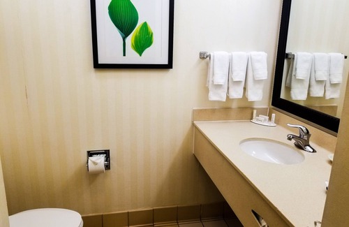 Bonanza Hotel | Comfortable Fairfield Inn & Suites by Marriott Laredo Escape