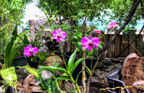 Fakarava Apartment | Beach Blessing Bungalow 5: Family-Friendly Retreat in Fakarava