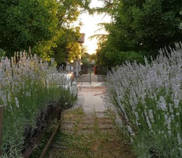San Daniele del Friuli House | Pet-Friendly Retreat at Falco Bianco with Breakfast & More