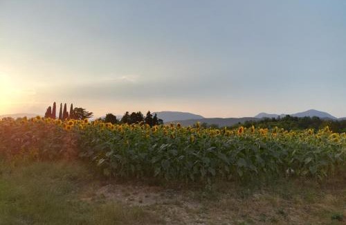 San Daniele del Friuli House | Pet-Friendly Retreat at Falco Bianco with Breakfast & More