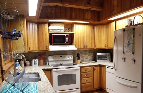 Terra Alta Cabin | Unforgettable FALL AWAY FERN CABIN with Pool & Ocean Views
