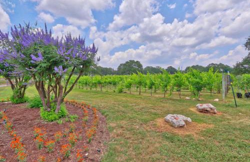 Buda House | Guest Rated 10/10: Fall Creek Vineyards Chardonnay Room