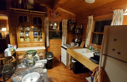 Bristol Cabin | Idyllic Mtn. Cabin with Lake Views & Pool on 11 Acres