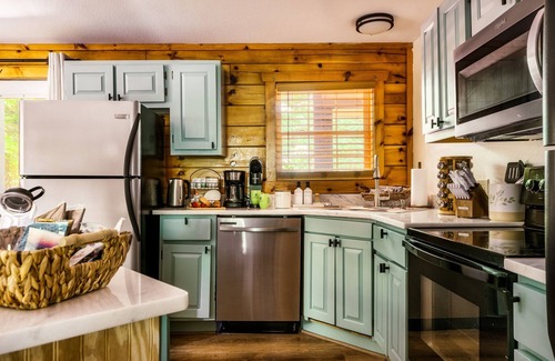 Pigeon Forge Cabin | Pet-Friendly Retreat with Hot Tub & Spa near Parkway
