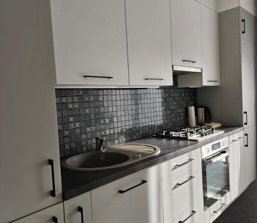 Klaipeda county Apartment | Family Apartment: Guest Rated 9.7 & Pet-Friendly Stay