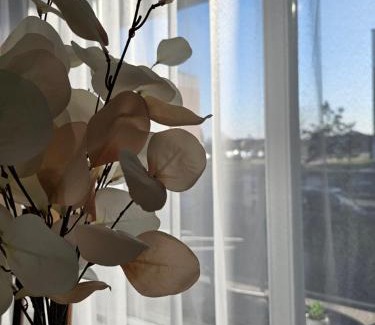 Klaipeda county Apartment | Family Apartment: Guest Rated 9.7 & Pet-Friendly Stay