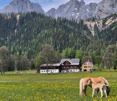 Schildlehen Apartment | Family Apartment with Spectacular Dachstein View