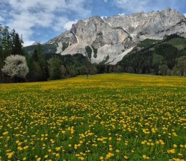 Schildlehen Apartment | Family Apartment with Spectacular Dachstein View