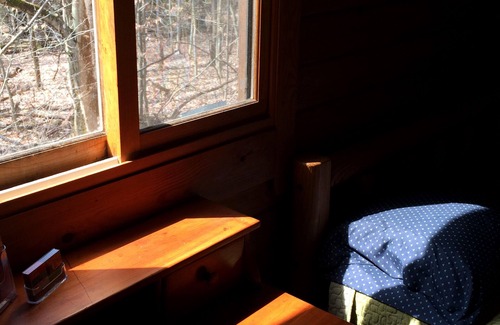 Etna Cabin | Family Friendly Cabin with Ocean View and Hiking Trails