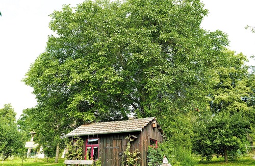 Buchelberg Apartment | Family-friendly vacation, ideal for cycling near Brombachsee (FeWo3)