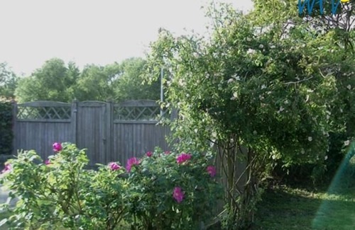 Borkum House | Charming Vacation Home with Terrace and Garden Retreat