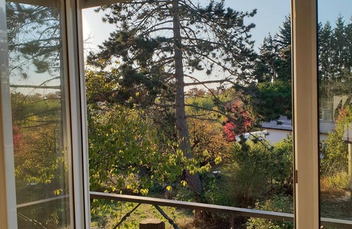 Schotten House | Idyllic Getaway: Family Fun with Pool and Ocean Views