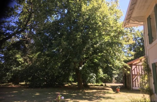 Pontenx-les-Forges Villa | Family house in the forest and close to the ocean