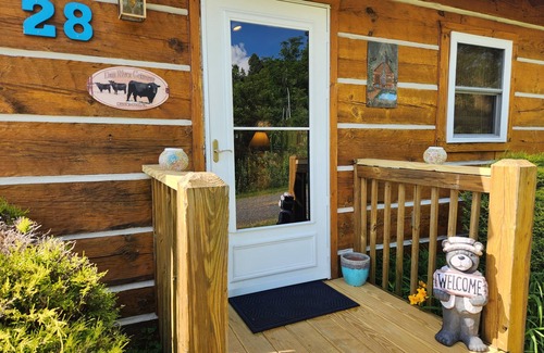 Vesta Cabin | Cozy Family-Owned Cabin with Great Views & Pet-Friendly Amenities