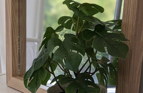 Surf Beach House | Family & pet-friendly coast house, minutes to Surf beach and shops!