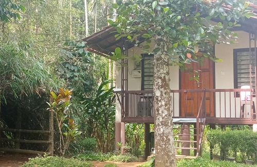 Vayittiri Villa | Cozy Family Villa: Hut-Style Stay with Kitchen & Breakfast