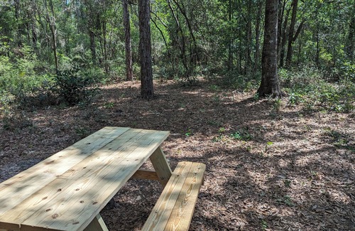 Chiefland RV Rental | Discover Fanning and Manatee Springs Campground Awaits