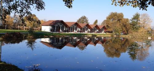 Fagaras House | Comfortable Stay at Fantanita Craiesei with Breakfast Included