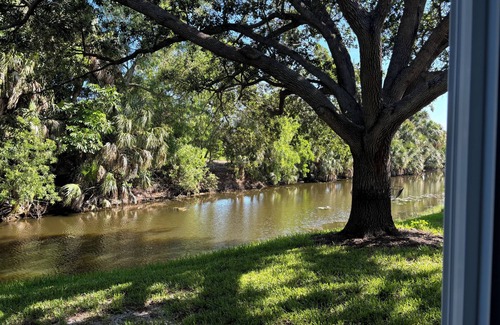 Palm River Estates Bed & Breakfast | Fantastic bed & breakfast with AC in Naples