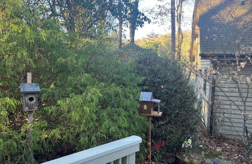 Sapphire House | Mountain View Resort: Pet Friendly with Spa & Outdoor Bliss