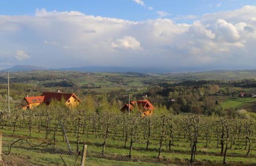 Gruszow Apartment | Stunning View Vineyard in the Picturesque Beskid Mountains